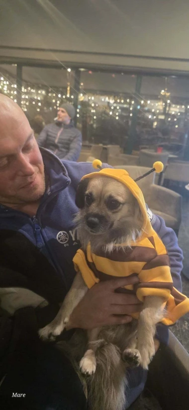 Zimska moda na četiri &scaron;ape: 40 najslađih outfita psića na&scaron;ih čitateljica