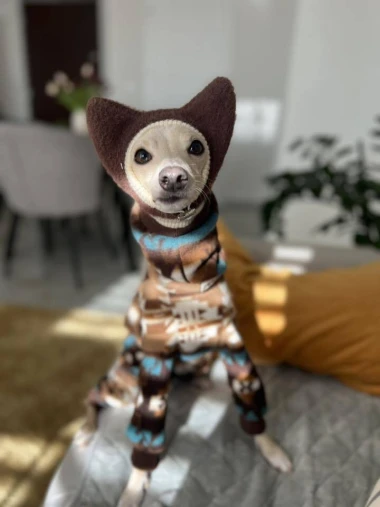 Zimska moda na četiri &scaron;ape: 40 najslađih outfita psića na&scaron;ih čitateljica