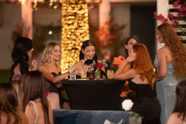 Prvi coctail party u 'Gospodinu Savr&scaron;enom': Pogledajte kako su se djevojke dotjerale