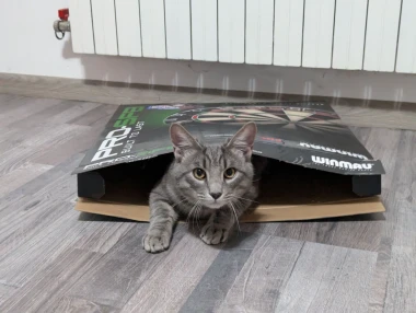 Morate vidjeti kako se zovu! 30 preslatkih mačaka na&scaron;ih čitatelja