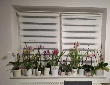 Kakve ljepotice! Orhideje na&scaron;ih čitateljica su nas očarale, a jedna nas je nasmijala