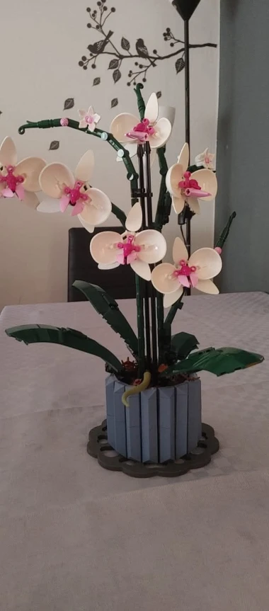 Kakve ljepotice! Orhideje na&scaron;ih čitateljica su nas očarale, a jedna nas je nasmijala