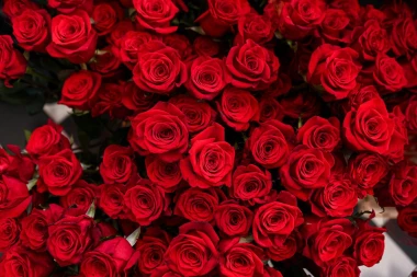 Prolaznici u zagrebačkoj Maloj ulici uživaju u preslatkim ukrasima za Valentinovo