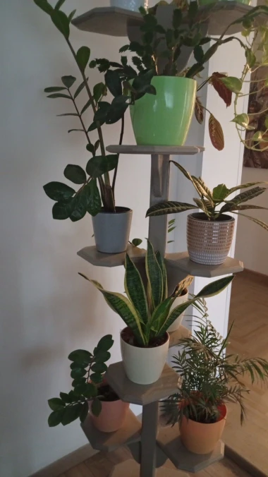 Svekrvin jezik koji ne prigovara: Čitateljice pokazale svoje zelene kraljice doma