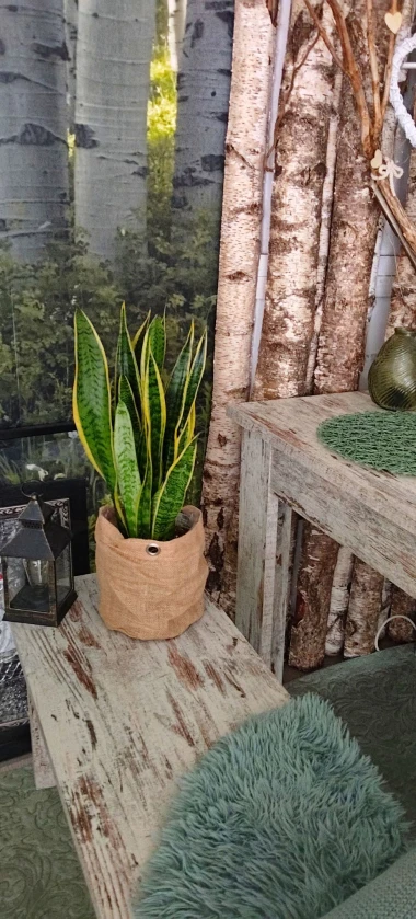 Svekrvin jezik koji ne prigovara: Čitateljice pokazale svoje zelene kraljice doma