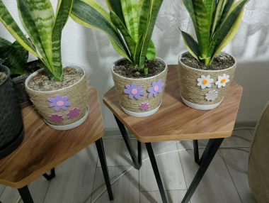 Svekrvin jezik koji ne prigovara: Čitateljice pokazale svoje zelene kraljice doma