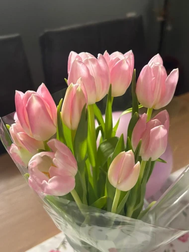 Dozivamo proljeće: Tulipani na&scaron;ih čitateljica u vazama donose svježinu i boje