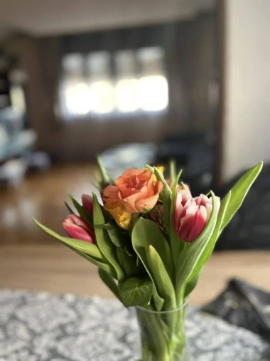 Dozivamo proljeće: Tulipani na&scaron;ih čitateljica u vazama donose svježinu i boje