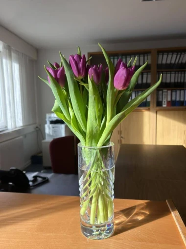 Dozivamo proljeće: Tulipani na&scaron;ih čitateljica u vazama donose svježinu i boje