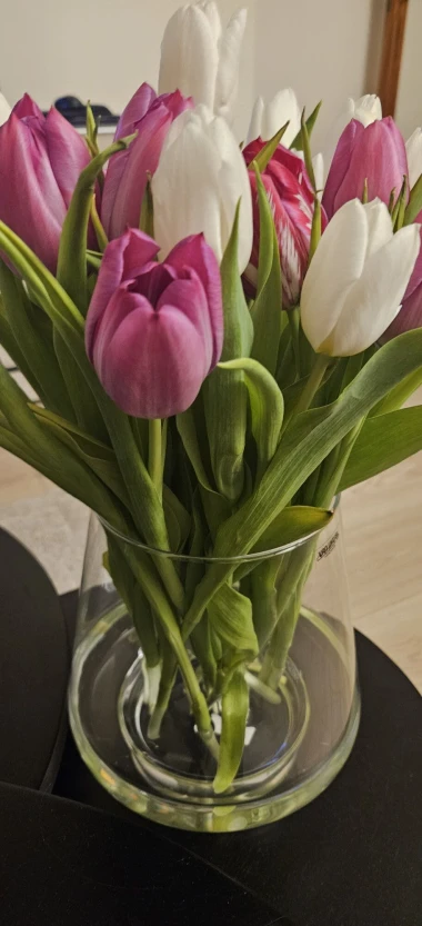 Dozivamo proljeće: Tulipani na&scaron;ih čitateljica u vazama donose svježinu i boje