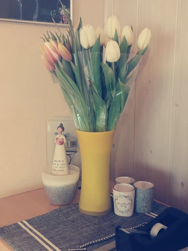 Dozivamo proljeće: Tulipani na&scaron;ih čitateljica u vazama donose svježinu i boje