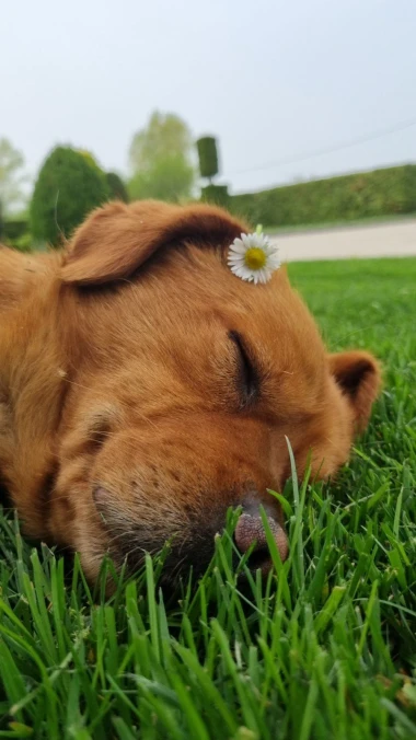 Kakvi slatki&scaron;i! Ovo su najslađi ljubimci na&scaron;ih čitateljica