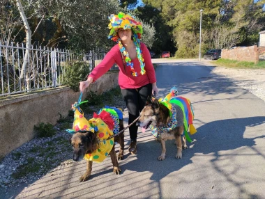 Kakvi slatki&scaron;i! Ovo su najslađi ljubimci na&scaron;ih čitateljica