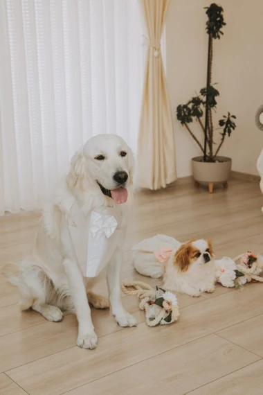 Kakvi slatki&scaron;i! Ovo su najslađi ljubimci na&scaron;ih čitateljica