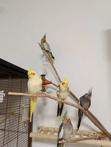 Kakvi slatki&scaron;i! Ovo su najslađi ljubimci na&scaron;ih čitateljica