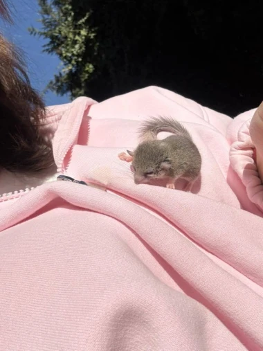 Kakvi slatki&scaron;i! Ovo su najslađi ljubimci na&scaron;ih čitateljica