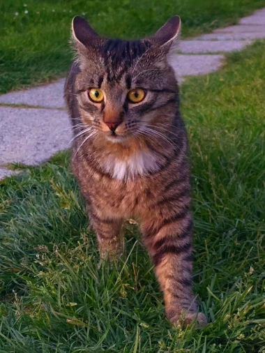 Kakvi slatki&scaron;i! Ovo su najslađi ljubimci na&scaron;ih čitateljica