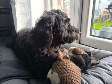 Kakvi slatki&scaron;i! Ovo su najslađi ljubimci na&scaron;ih čitateljica