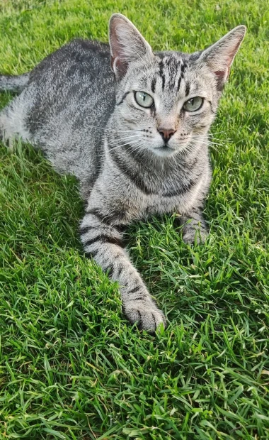 Kakvi slatki&scaron;i! Ovo su najslađi ljubimci na&scaron;ih čitateljica