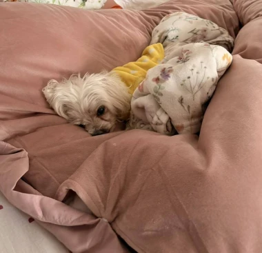 Kakvi slatki&scaron;i! Ovo su najslađi ljubimci na&scaron;ih čitateljica