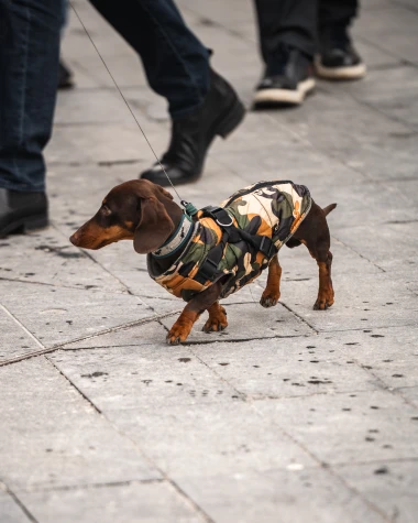 Nitko kao Zagrepčanke: &Scaron;pica fenomenalna unatoč niskim temperaturama