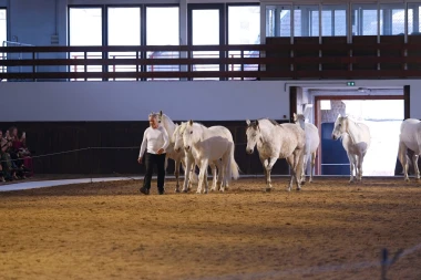 Stella McCartney u Parizu spojila klasične siluete i praktične komade