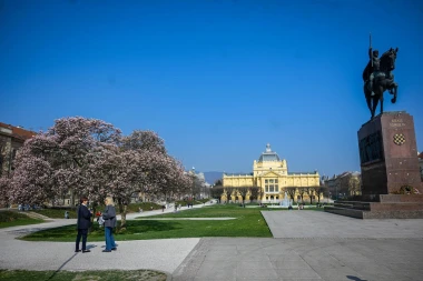 Proljeće je stiglo u Zagreb: Magnolija na Tomislavcu procvala u punom sjaju