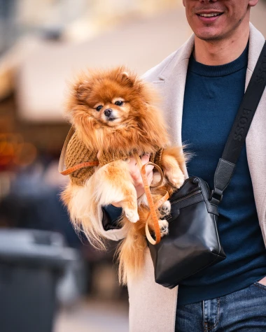 Zgodne Zagrepčanke otjerale vjetar sa &scaron;pice, nije imao &scaron;anse