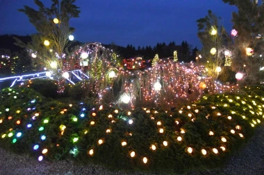 Uskrsna čarolija svjetla: Obitelj Salaj ukrasila imanje s čak 60.000 pisanica