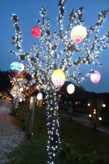 Uskrsna čarolija svjetla: Obitelj Salaj ukrasila imanje s čak 60.000 pisanica