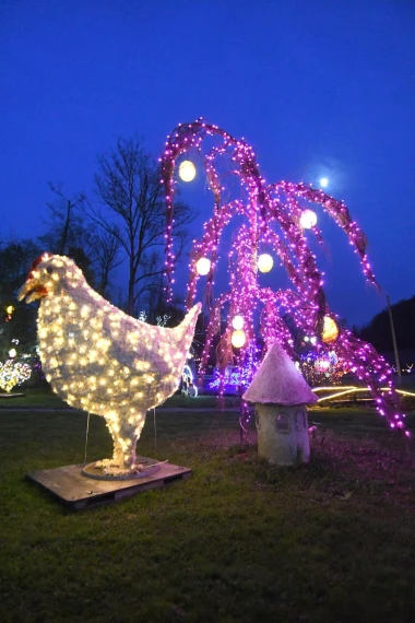 Uskrsna čarolija svjetla: Obitelj Salaj ukrasila imanje s čak 60.000 pisanica