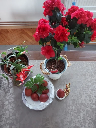 Uskrsne dekoracije na&scaron;ih čitateljica: Pogledajte kako su uredile svoje domove