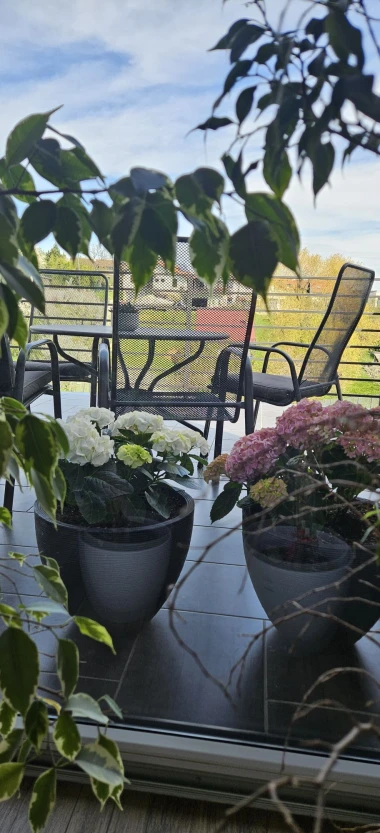 Kakva rasko&scaron;! Uživajte u čarobnim hortenzijama na&scaron;ih čitateljica