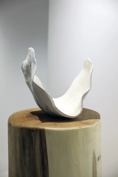 Kristina Bradač Radić otvorila izložbu keramike i okupila poznata lica