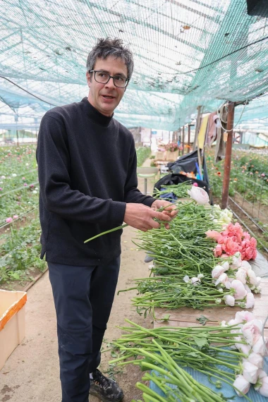 Bajkoviti prizori sa splitske farme ranunkula: Ovo prekrasno cvijeće idealno je za vjenčanja