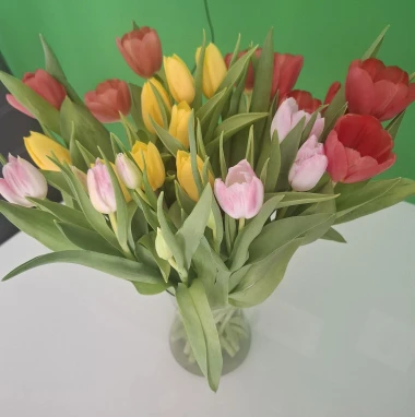 Cvjetna čarolija iz cijele Hrvatske: Čitateljice su nam poslale fotografije najljep&scaron;ih tulipana