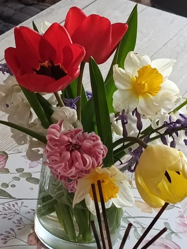 Cvjetna čarolija iz cijele Hrvatske: Čitateljice su nam poslale fotografije najljep&scaron;ih tulipana