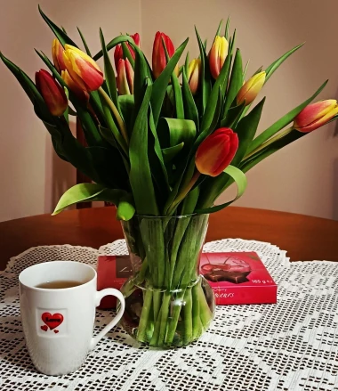 Cvjetna čarolija iz cijele Hrvatske: Čitateljice su nam poslale fotografije najljep&scaron;ih tulipana