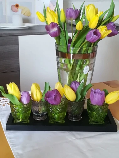 Cvjetna čarolija iz cijele Hrvatske: Čitateljice su nam poslale fotografije najljep&scaron;ih tulipana