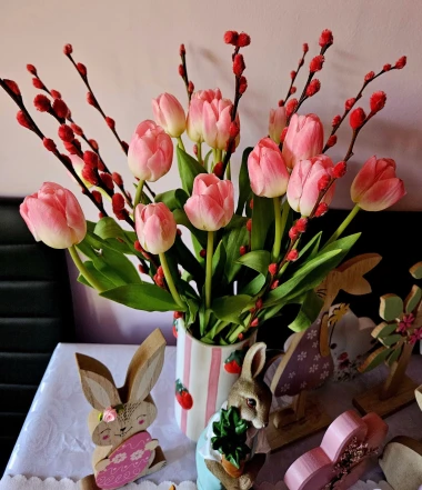 Cvjetna čarolija iz cijele Hrvatske: Čitateljice su nam poslale fotografije najljep&scaron;ih tulipana