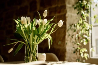 Cvjetna čarolija iz cijele Hrvatske: Čitateljice su nam poslale fotografije najljep&scaron;ih tulipana