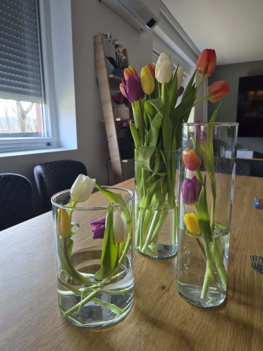 Cvjetna čarolija iz cijele Hrvatske: Čitateljice su nam poslale fotografije najljep&scaron;ih tulipana