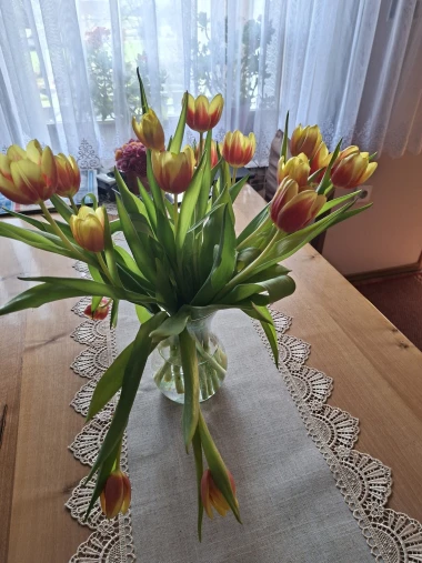 Cvjetna čarolija iz cijele Hrvatske: Čitateljice su nam poslale fotografije najljep&scaron;ih tulipana