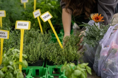 Zavr&scaron;en 60. jubilarni Floraart na Bundeku: Bogat program privukao brojne posjetitelje