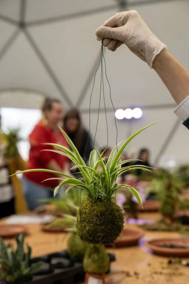 Zavr&scaron;en 60. jubilarni Floraart na Bundeku: Bogat program privukao brojne posjetitelje