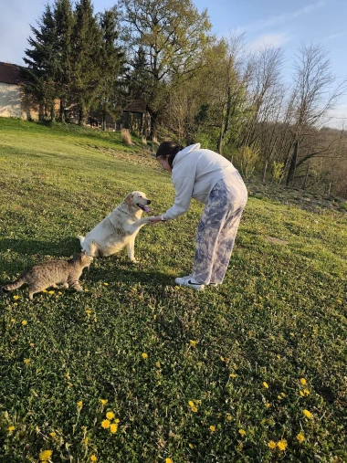 Pas i mačka - najbolji prijatelji! Pogledajte preslatke ekipe na&scaron;ih čitateljica