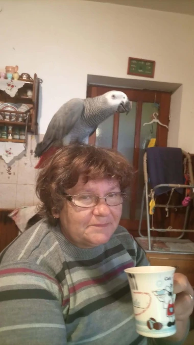 Kako su samo slatke! Morate vidjeti ove papige na&scaron;ih čitateljica