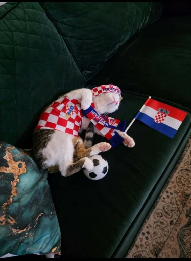 Nju&scaron;e pobjedu: Ljubimci na&scaron;ih čitateljica jedva čekaju utakmicu Panama - Hrvatska