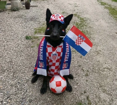Nju&scaron;e pobjedu: Ljubimci na&scaron;ih čitateljica jedva čekaju utakmicu Panama - Hrvatska