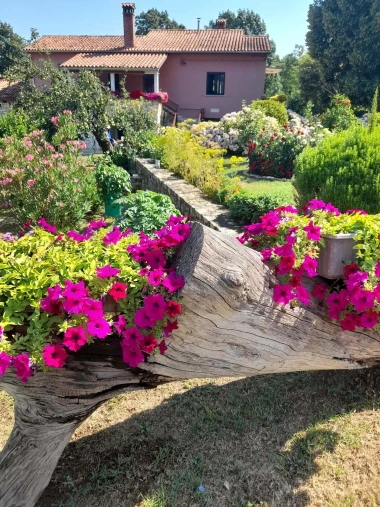 Ove fotografije će vas inspirirati: Pogledajte okućnice na&scaron;ih čitateljica okupane cvijećem